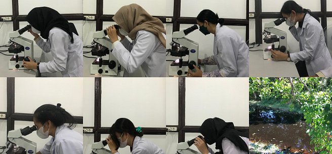 Laboratory Observations