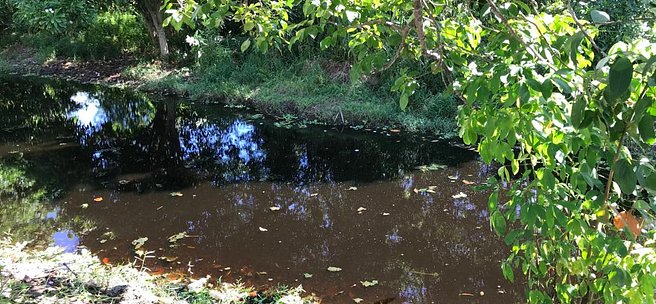 Sampling Site