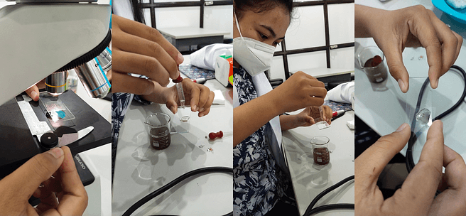 Laboratory Observations